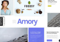 Amory | Responsive Multipurpose WordPress Theme