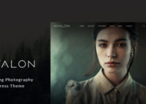 Avalon - Photography and Portfolio WordPress Theme for Photographers