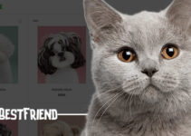Bestfriend - Pet Shop WordPress WooCommerce Theme