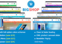 BigShop - Responsive Multi-Purpose Woocommerce WordPress Theme
