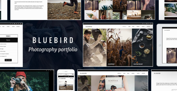 Bluebird - Design for Professional Photographers