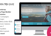 Born To Give - Charity Crowdfunding Responsive WordPress Theme