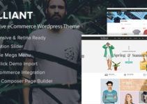 Brilliant - Responsive eCommerce WordPress Theme