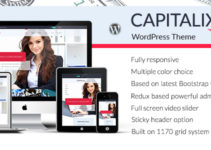 Capitalix — Business, Finance WP theme