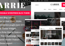 Carrie - Personal & Magazine WordPress Responsive Clean Blog Theme
