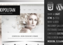 Cosmopolitan - Business WordPress HTML 5 Theme