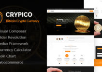 Crypico - Crypto Currency WordPress Theme