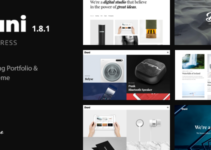 Dani - A Storming Portfolio & Shop WordPress Theme