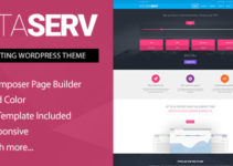 Dataserv - Professional Hosting WordPress Theme