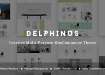 Delphinus - Creative Multi-Purpose WooCommerce Theme