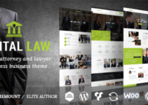 Digital Law | Attorney, Lawyer and Law Agency WordPress Theme