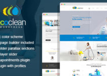 EcoClean - Cleaning company WordPress Theme
