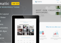 Enigmatic - Responsive Multi-Purpose WP Theme