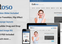 Exitoso Multi-Purpose WordPress Theme