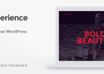 Experience - Showcase WordPress Theme