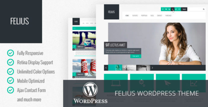 Felius - Responsive Multipurpose WordPress Theme