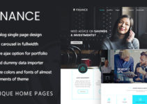 Finance | Consultant, Finance Business Theme