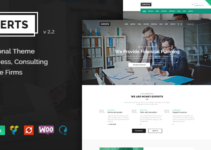Finance Experts - Finance Business & Consulting WordPress Theme