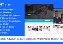 Financial Advisor, Business WordPress Theme - Insight