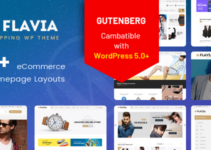 Flavia - Download Responsive WooCommerce WordPress Theme 2019