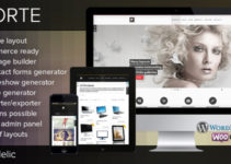 Forte — Multipurpose WP Theme (WooCommerce Ready)
