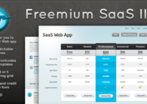 Freemium SaaS Wordpress CMS + Blog Theme II