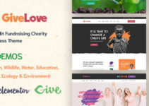 Givelove | Non-profit Charity & Crowdfunding WordPress Theme