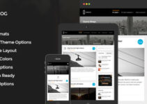 GoBlog - Responsive WordPress Blog Theme