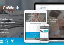 GoWash | Dry Cleaning & Laundry Service WordPress Theme