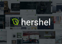 Hershel - Flexible Multipurpose WordPress Theme
