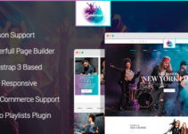 Hyphoria - Rock Band WordPress Theme