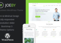JoeBy Clean Business WordPress Theme