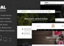 Local Business - WP Theme for Small businesses