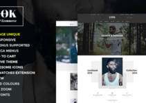 Look - Responsive Multi-Purpose WooCommerce WordPress Theme