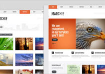 Marchie - Corporate Business WordPress Theme