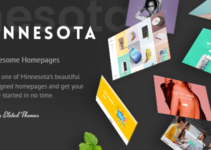 Minnesota - A Smart Theme for Personal and Professional Use