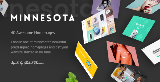 Minnesota - A Smart Theme for Personal and Professional Use