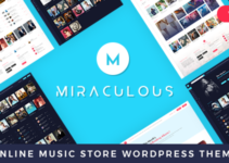 Miraculous - Online Music Store WordPress Theme