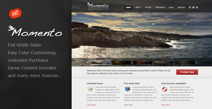 Momento - Photography and Business Theme