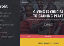 Nonprofit - NGO and Charity WordPress Theme