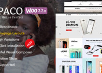 Paco - Responsive Woocommerce WordPress Digital Theme