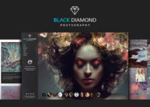 Photography Portfolio WordPress Theme Diamond