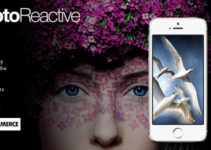 PhotoReactive - Fullscreen Studio for WordPress