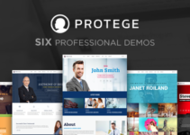 Protege - Single Professional Theme