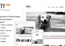 Purity: Responsive, Clean, Minimal & Bold WP Theme