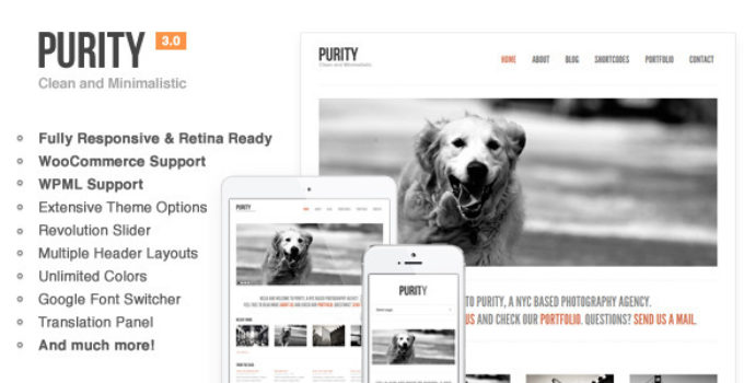 Purity: Responsive, Clean, Minimal & Bold WP Theme