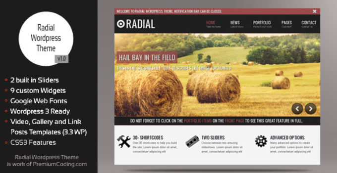 Radial - Creative Blog & Portfolio Wordpress Theme