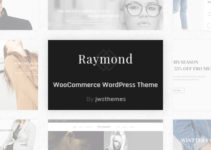 Raymond - WooCommerce Responsive WordPress Theme