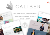 Responsive WordPress Theme - Caliber