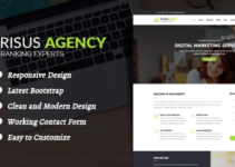 Risus Agency - SEO and Digital Marketing WordPress Theme